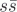 $s\overline s $