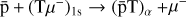 ${\text{\bar p}} + {\left({{\text{T}}{\mu ^ - }} \right)_{{\text{ls}}}} \to {\left({{\text{\bar pT}}} \right)_\alpha } + {\mu ^ - }$
